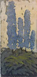 bild5